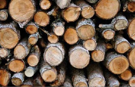 Holz Holz