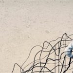 Zuwachs-Artikel Zuwachs-Artikel