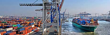 Auf Exportwerte setzen Auf Exportwerte setzen