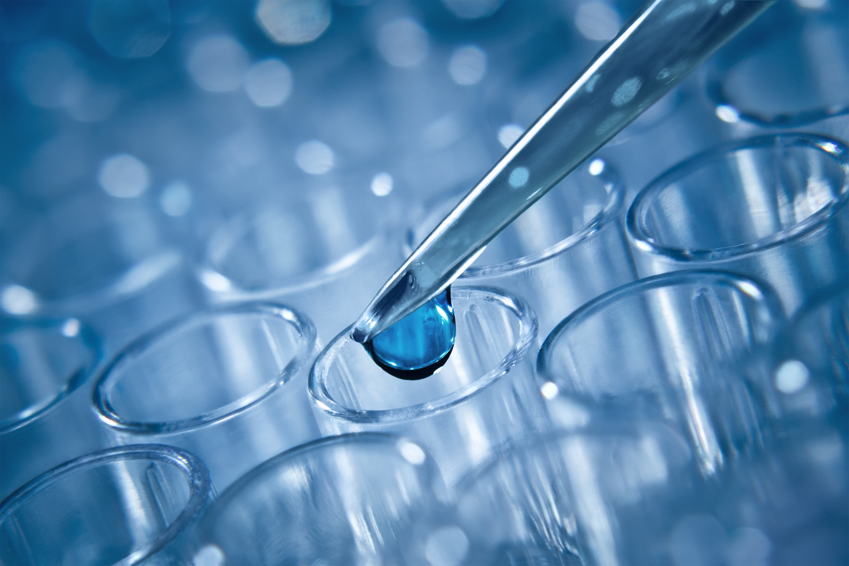 Pharma-Titel sind die Gewinner des Jahres Pharma-Titel sind die Gewinner des Jahres