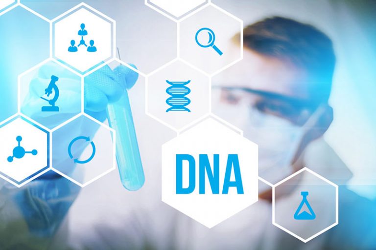Der Biotech-Sektor dürfte auf Erfolgskurs bleiben Der Biotech-Sektor dürfte auf Erfolgskurs bleiben
