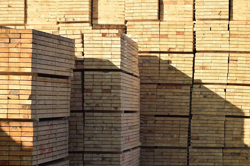 Investieren in Holz Investieren in Holz