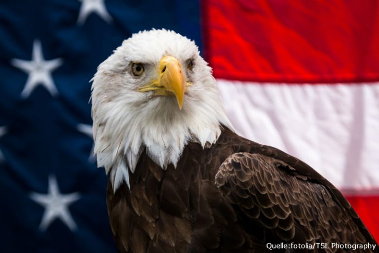 Short-ETF-Höhere Zinsen Gefahr für US-Wirtschaft Short-ETF-Höhere Zinsen Gefahr für US-Wirtschaft