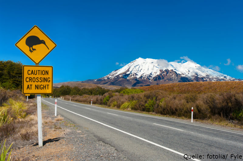 Neuseeland-ETF – Paradiesische Renditen Neuseeland-ETF – Paradiesische Renditen