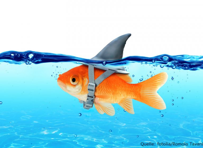 SmallCap ETF-Nebenwerte bieten Sicherheit SmallCap ETF-Nebenwerte bieten Sicherheit