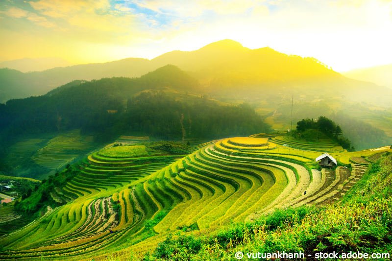 Vietnam-ETF: Mit Vollgas ins neue Jahr Vietnam-ETF: Mit Vollgas ins neue Jahr