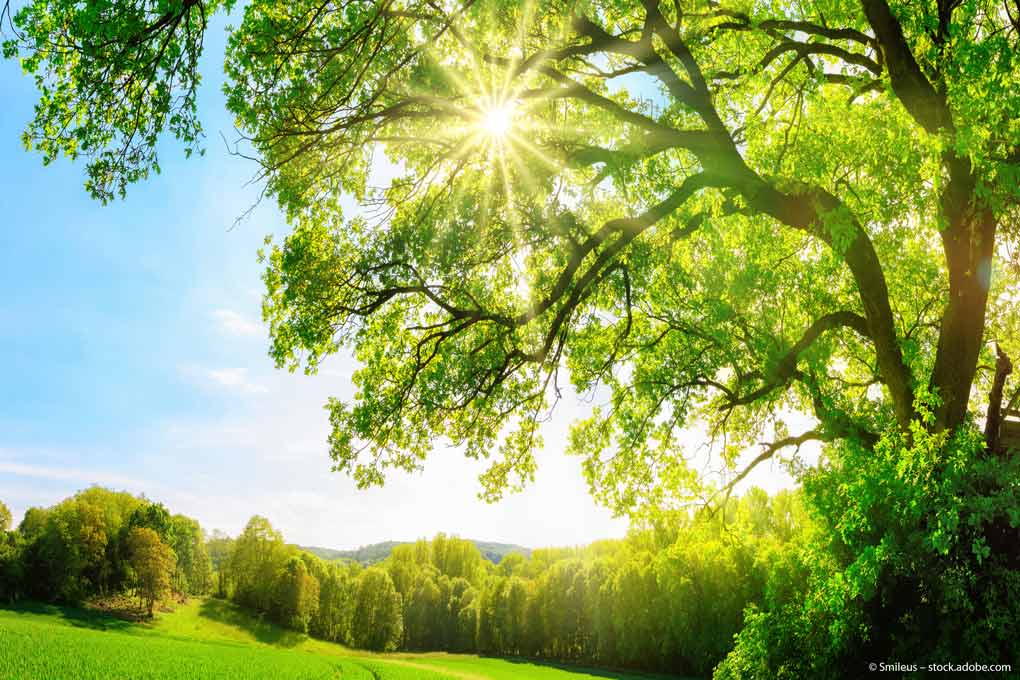 Corporate-ETF: Dank ESG-Kriterien besser investieren Corporate-ETF: Dank ESG-Kriterien besser investieren