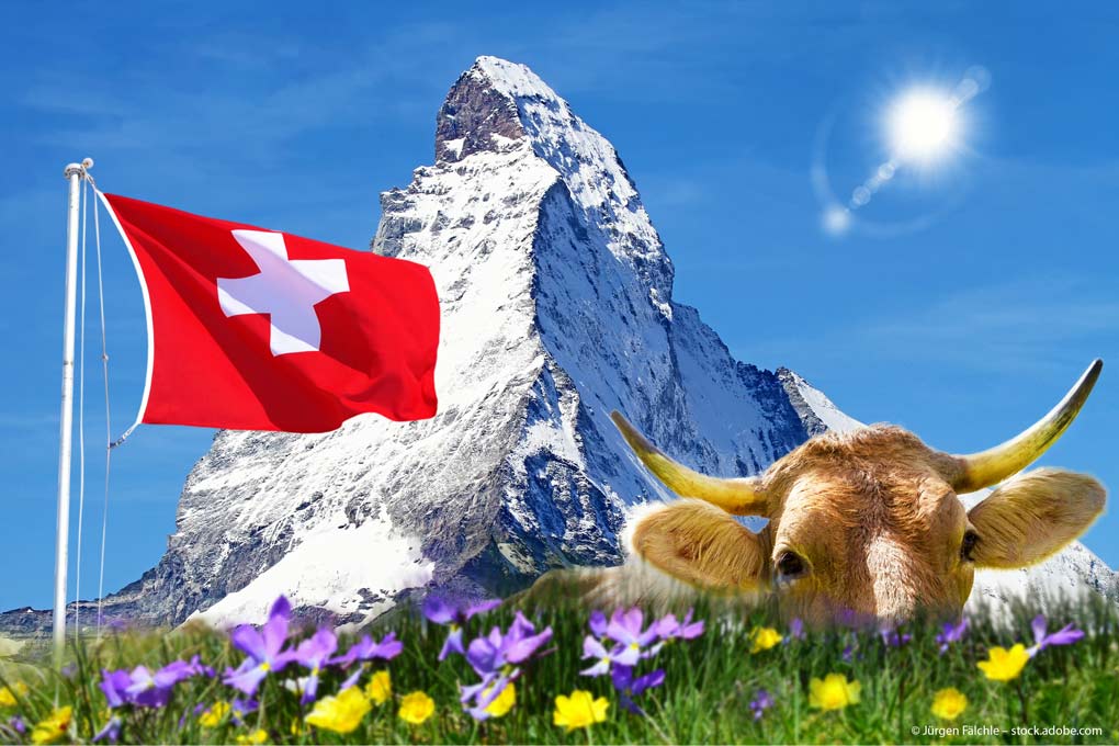 Schweizer Aktien: Ab ins Depot! Schweizer Aktien: Ab ins Depot!