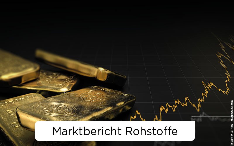 ETF-Rohstoffbericht – Entwicklung der Rohstoff-Sektoren des ETF-Marktes ETF-Rohstoffbericht – Entwicklung der Rohstoff-Sektoren des ETF-Marktes
