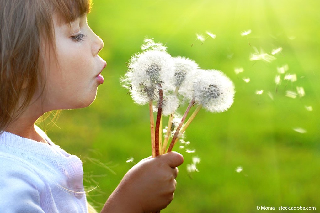 Pusteblume Pusteblume