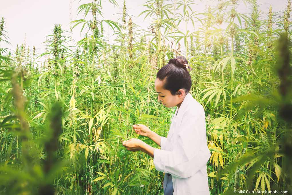 Erster deutscher Cannabis-Aktien-Index Erster deutscher Cannabis-Aktien-Index