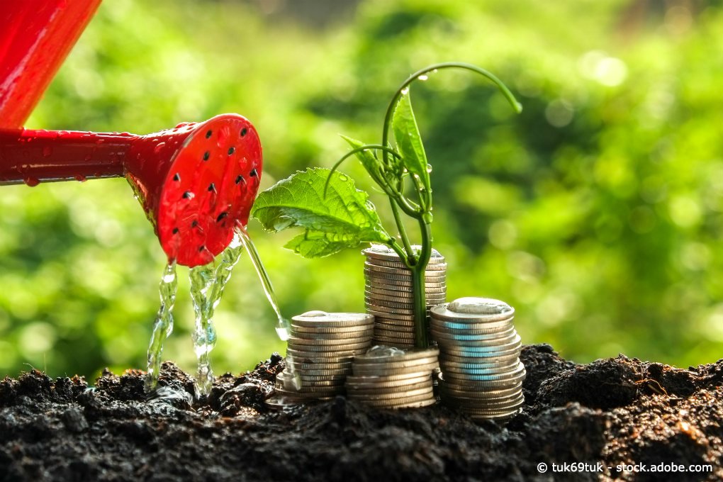 Wohin mit dem Geld? Wohin mit dem Geld?