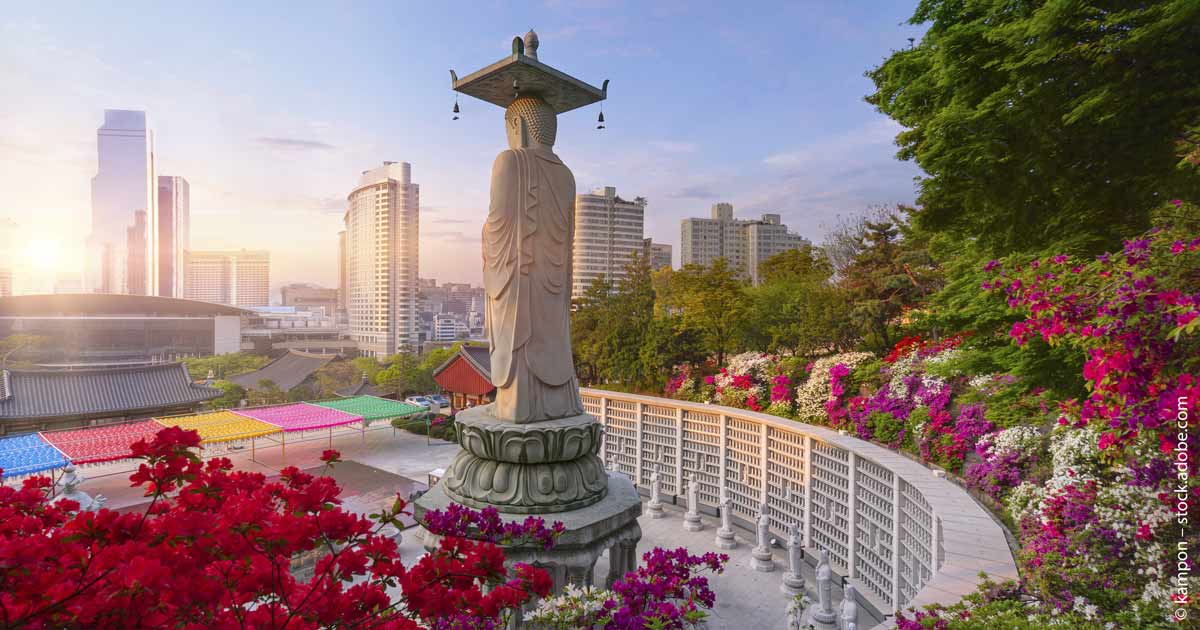 Südkorea hat eine Menge zu bieten.