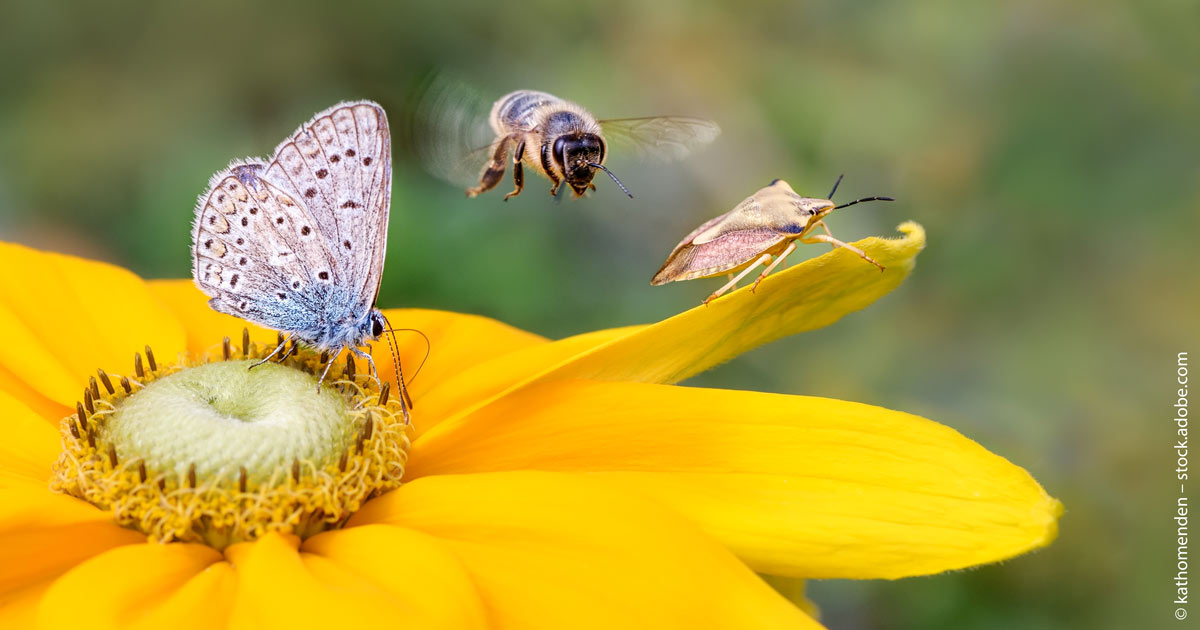 Ossiam mit Biodiversity-Food-ETF.