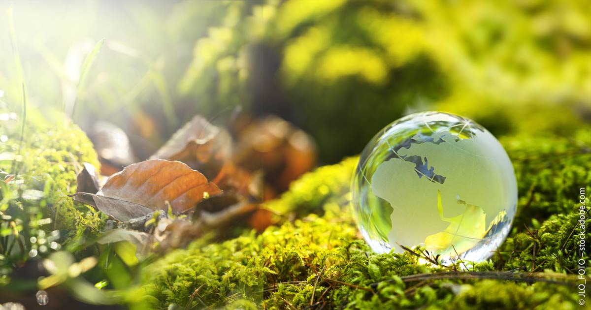 Der nachhaltige Global All Cap ETF von Vanguard ist da. Der nachhaltige Global All Cap ETF von Vanguard ist da.