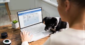 Die gefährliche Konditionierung auf Zinsen – wieso keine ETFs? Die gefährliche Konditionierung auf Zinsen – wieso keine ETFs?