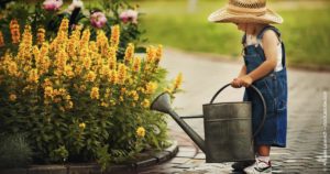 Mit diesem neuen ETF nutzen Sie nachhaltig die Size-Prämie. Mit diesem neuen ETF nutzen Sie nachhaltig die Size-Prämie.