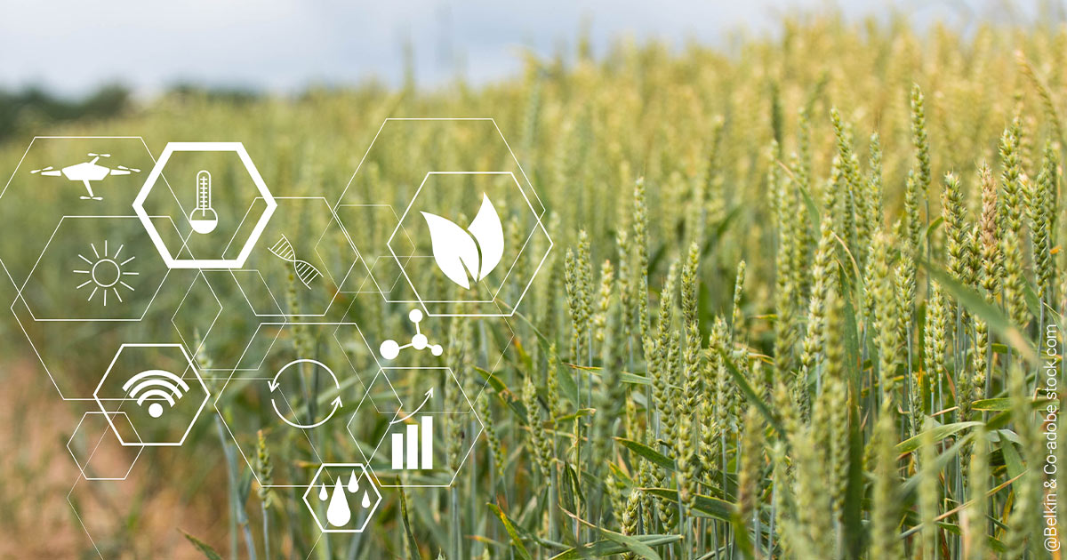 Agar-ETF: Die grüne Revolution mit Smart Farming läuft