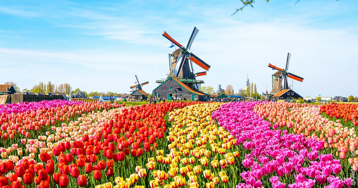 Aktienmarkt Niederlande: Darum solltest du unsere Nachbarn auf dem Schirm haben