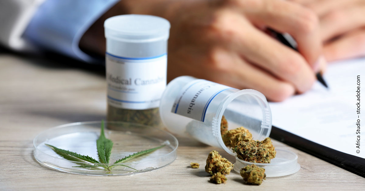 Cannabis-Legalisierung: Ist jetzt der richtige Zeitpunkt für ein Investment?