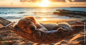 Das ist die wichtigste Botschaft der Börsenturbulenzen vom August Das ist die wichtigste Botschaft der Börsenturbulenzen vom August