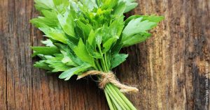 Die Bündel von Kraken: Krypto-Streuung nach ETF-Prinzip